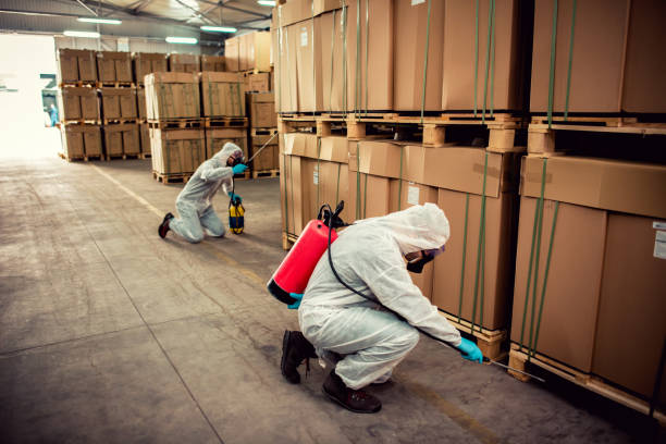 Best Flea Control Services  in Varnell, GA