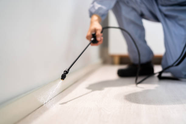 Flea Control Services in Varnell, GA