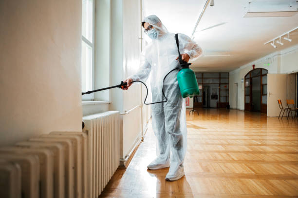 Best Wasp Removal Services  in Varnell, GA
